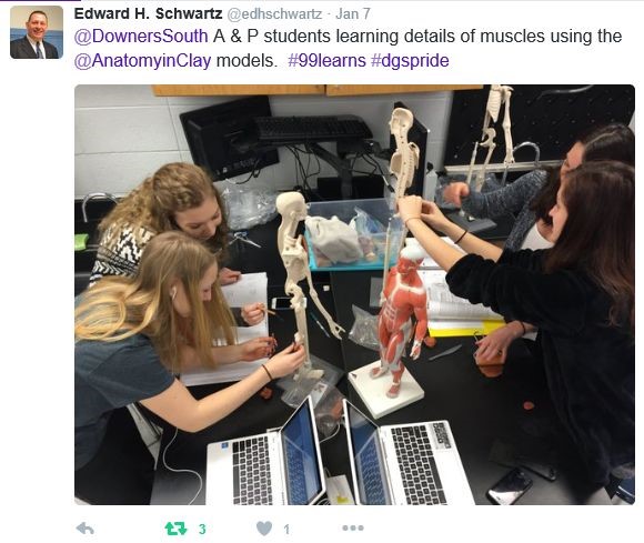 A & P students learning details of muscles using the models